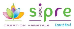 SP